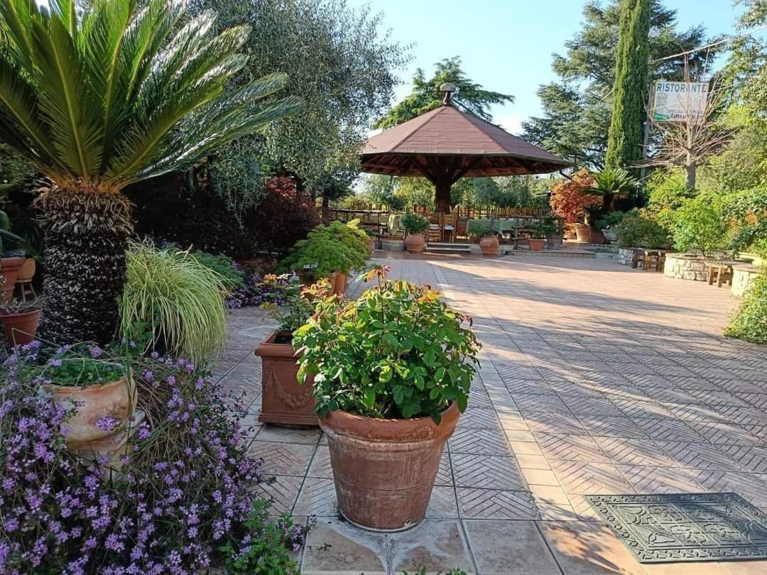Guest House Romana Vecchia Monticchio  Eksteriør billede