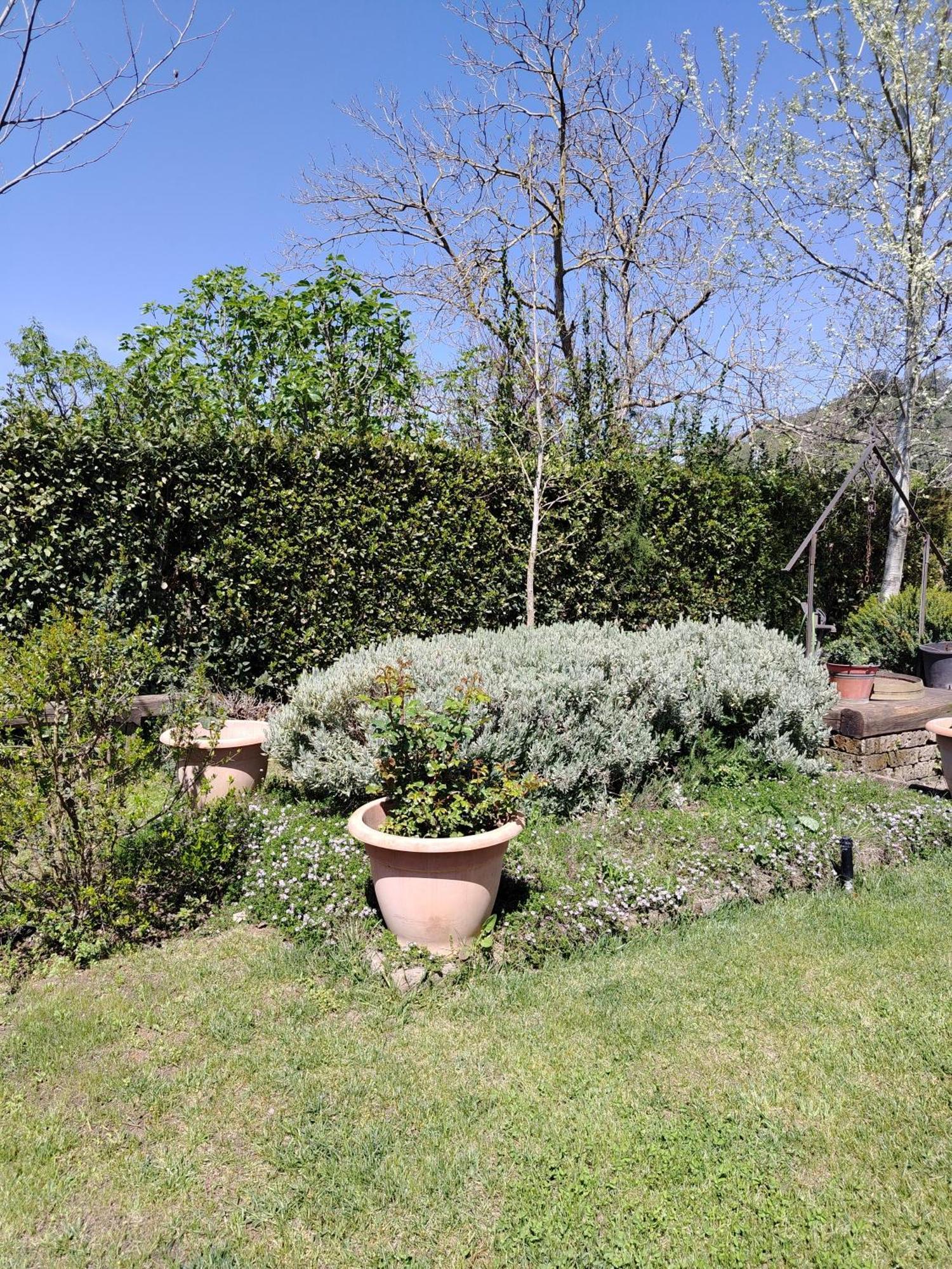 Guest House Romana Vecchia Monticchio  Eksteriør billede